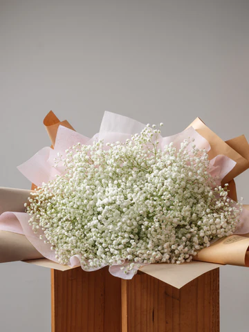 White Comfort Arrangement